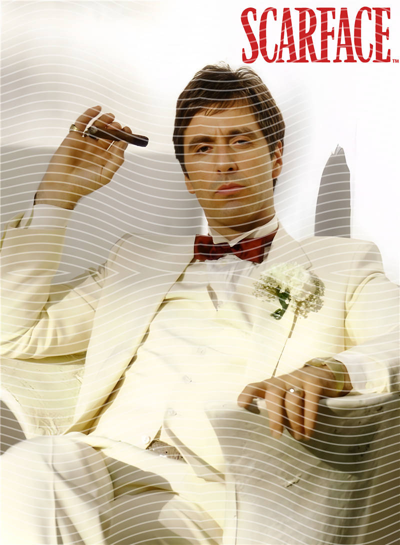 SCARFACE-SF 278
